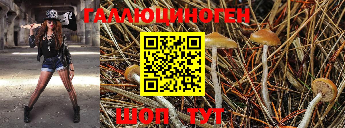 наркошоп  Вход с VPN  Мытищи  Псилоцибиновые грибы мицелий 